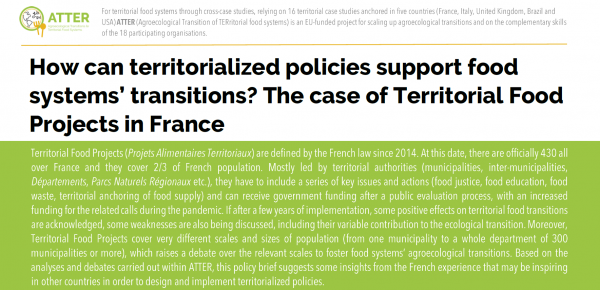 How can territorialized policies support food systems' transitions? The case of Territorial Food Projects in France